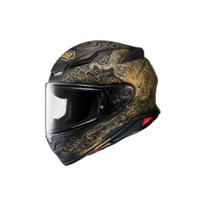 HELMET (006)